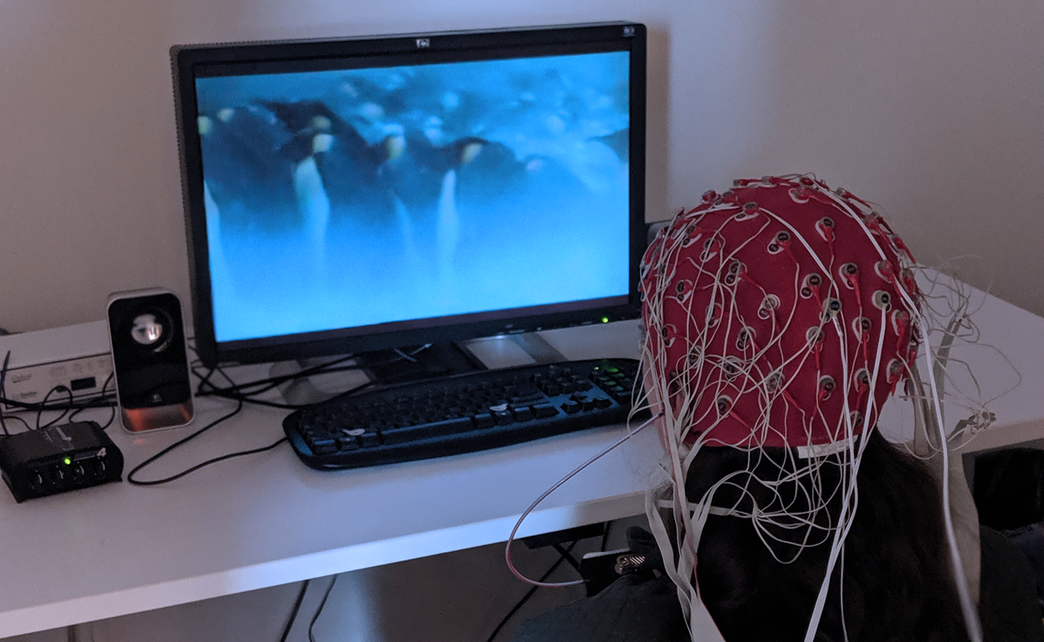 An EEG experiment demonstration by ARiEAL undergraduate trainee, Christie Hunt. (Photo Credit: Chia-Yu Lin)